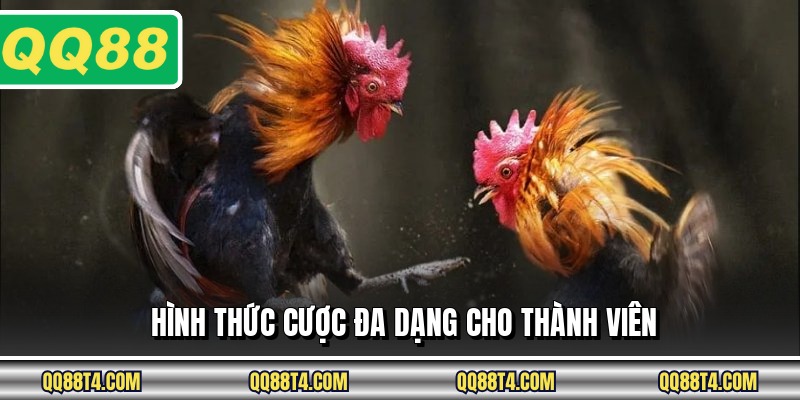 Hình thức cược đa dạng cho thành viên